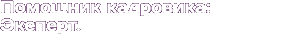 cadrovik